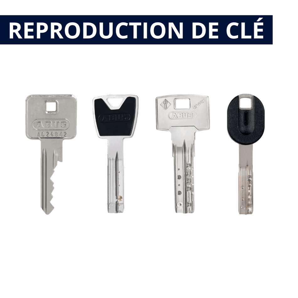 Cle sur organigramme Abus