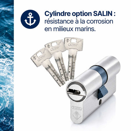 Cylindre de serrure ABUS avec trois clés réversibles, conçu pour la haute sécurité des portes standard
