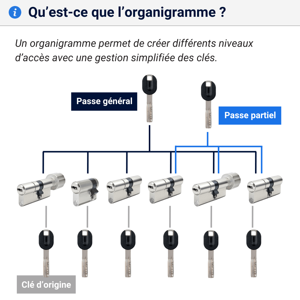 Cylindre organigramme explications MX Magnet
