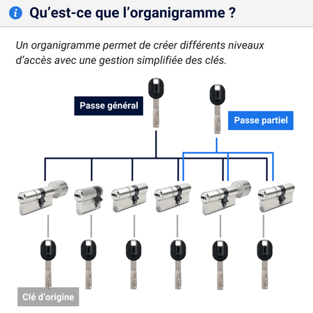 Cylindre organigramme explications MX Magnet