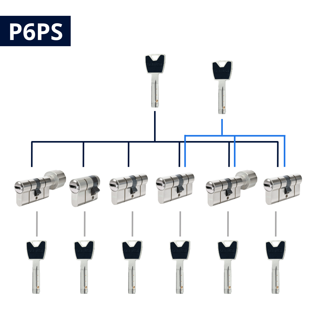 Cylindre sur organigramme Abus P6PS