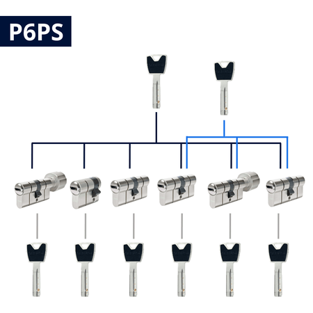 Cylindre sur organigramme Abus P6PS