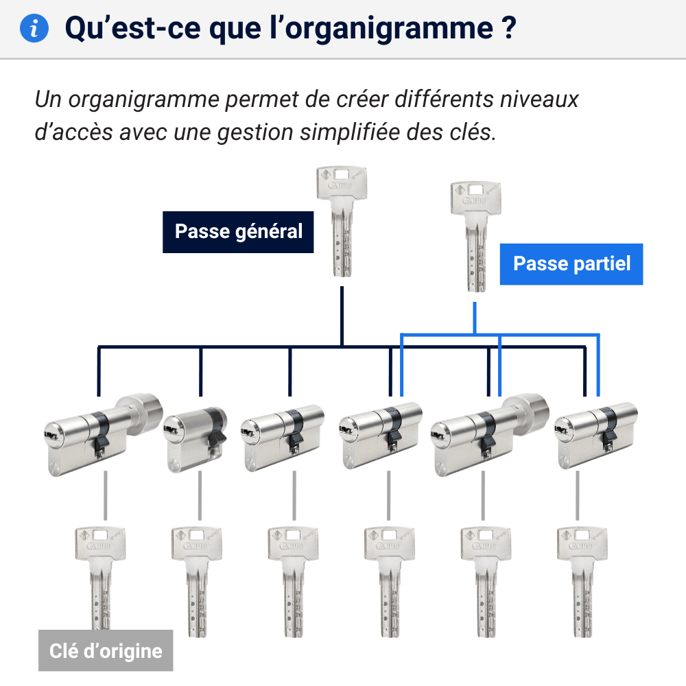 Cylindre sur organigramme explications Bravus 4000 MX