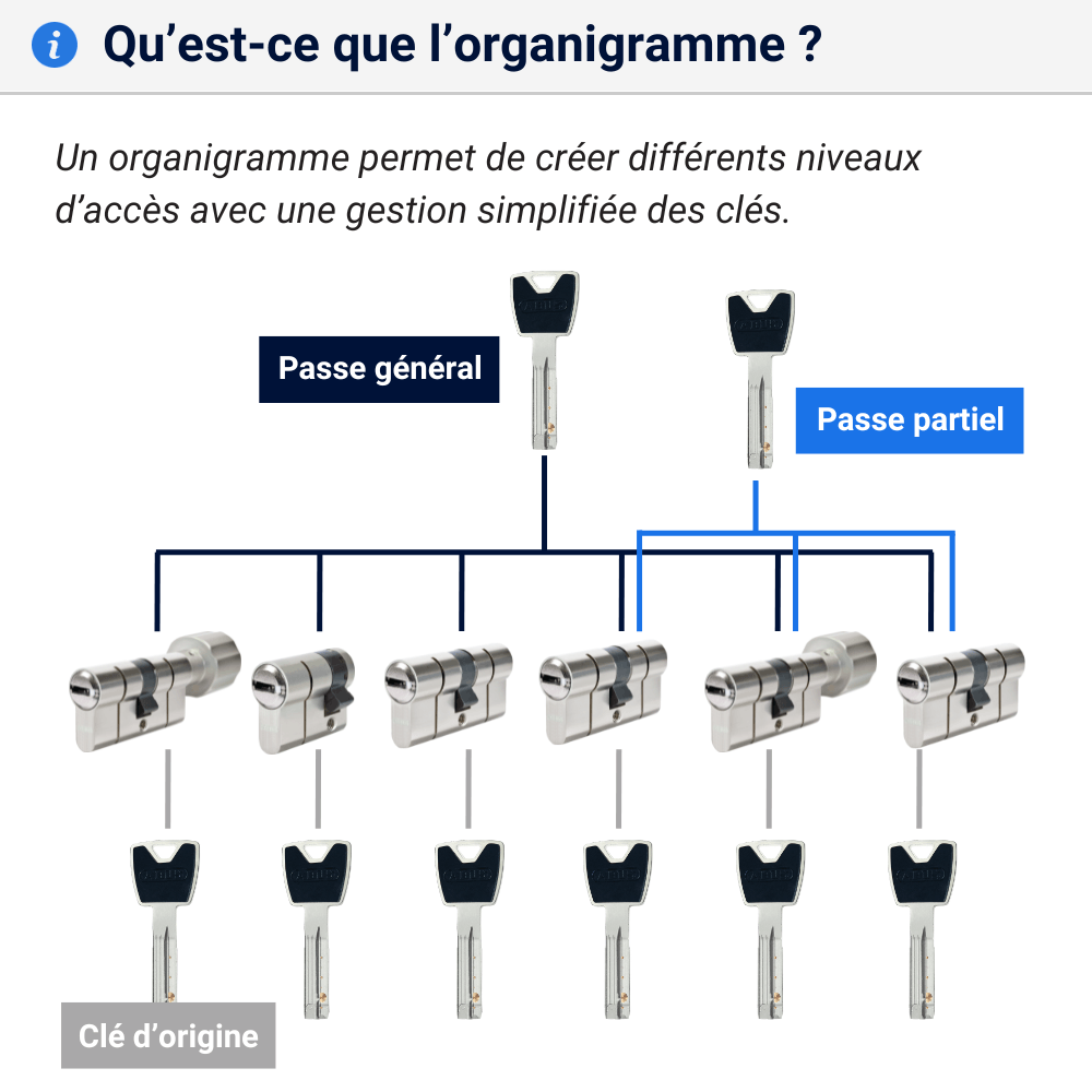 Cylindre sur organigramme explications P6PS 