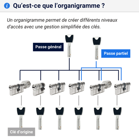 Cylindre sur organigramme explications P6PS 
