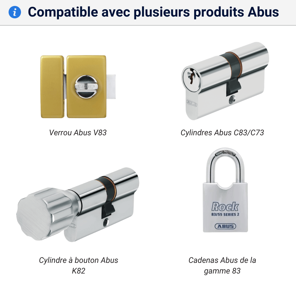 Double cle Abus C73 C83 compatible