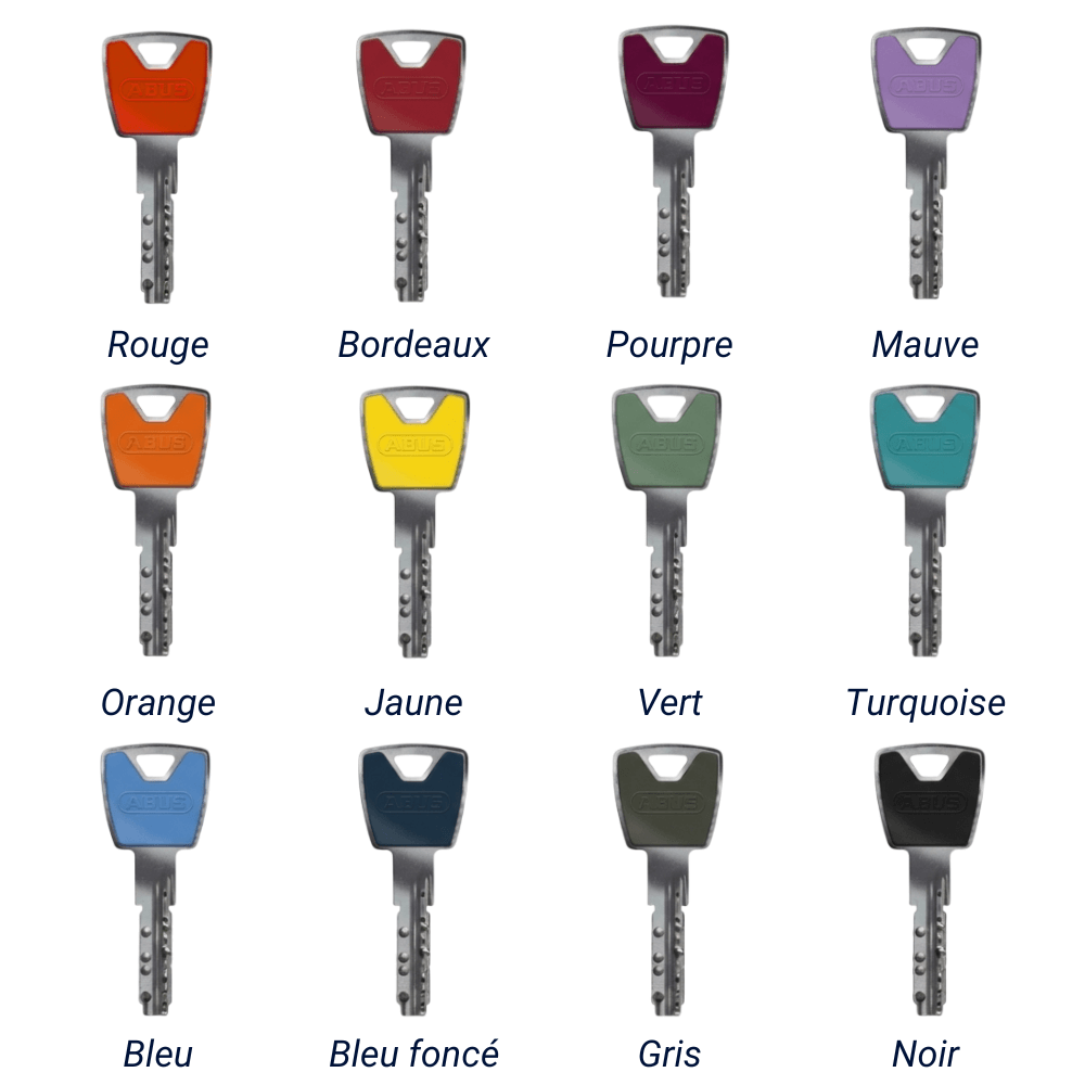 Double cle Abus P12RPS couleurs