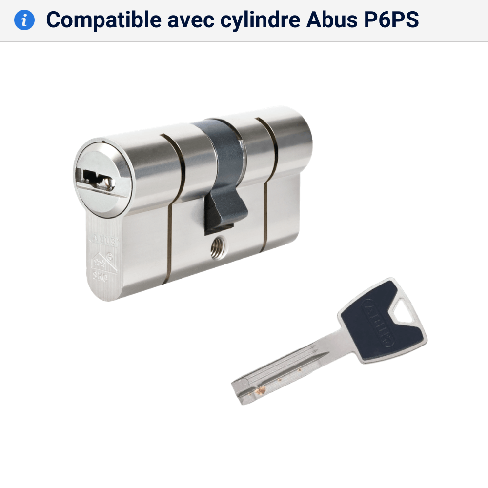 Double cle Abus P6PS compatible
