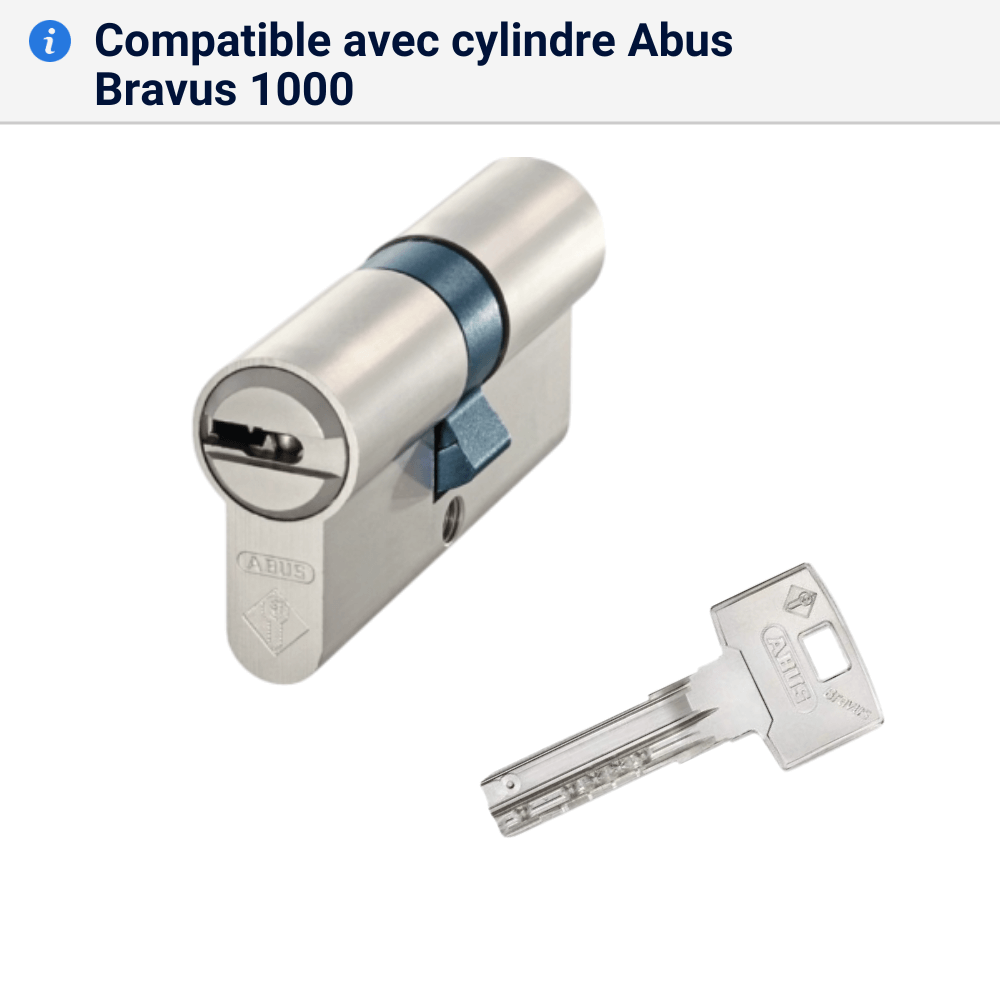 Double cle Bravus 1000 compatible