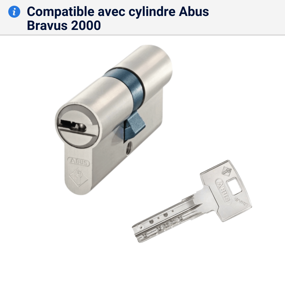 Double cle Bravus 2000 compatible