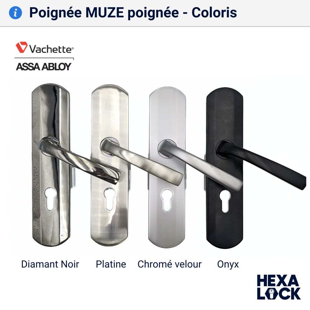 Poignée de porte blindée MUZE palière coloris poignée