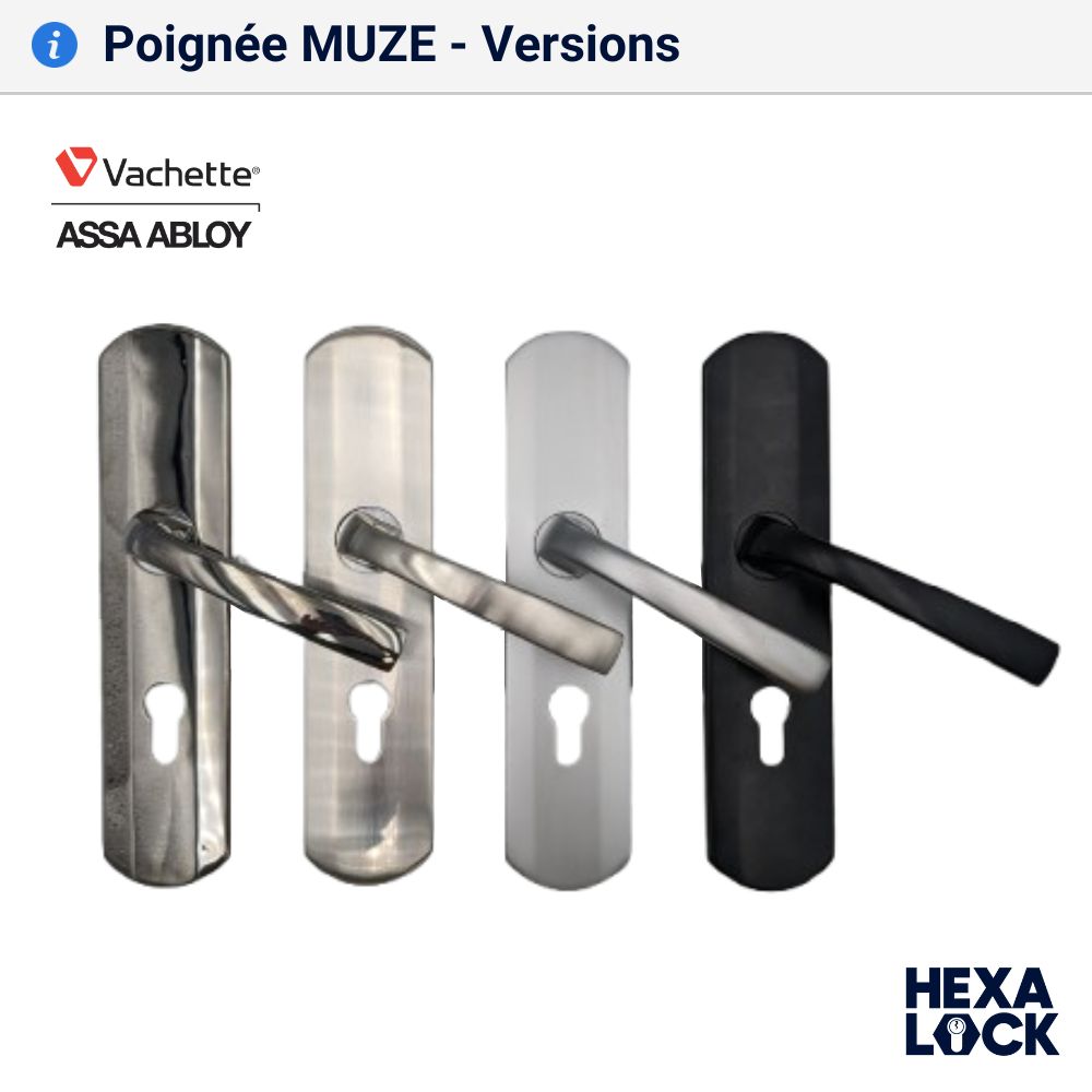 Poignée de porte blindée MUZE double bequille coloris