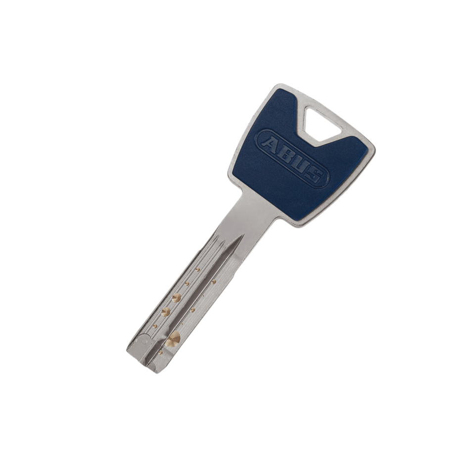 Reporduction cle Abus P12RPS