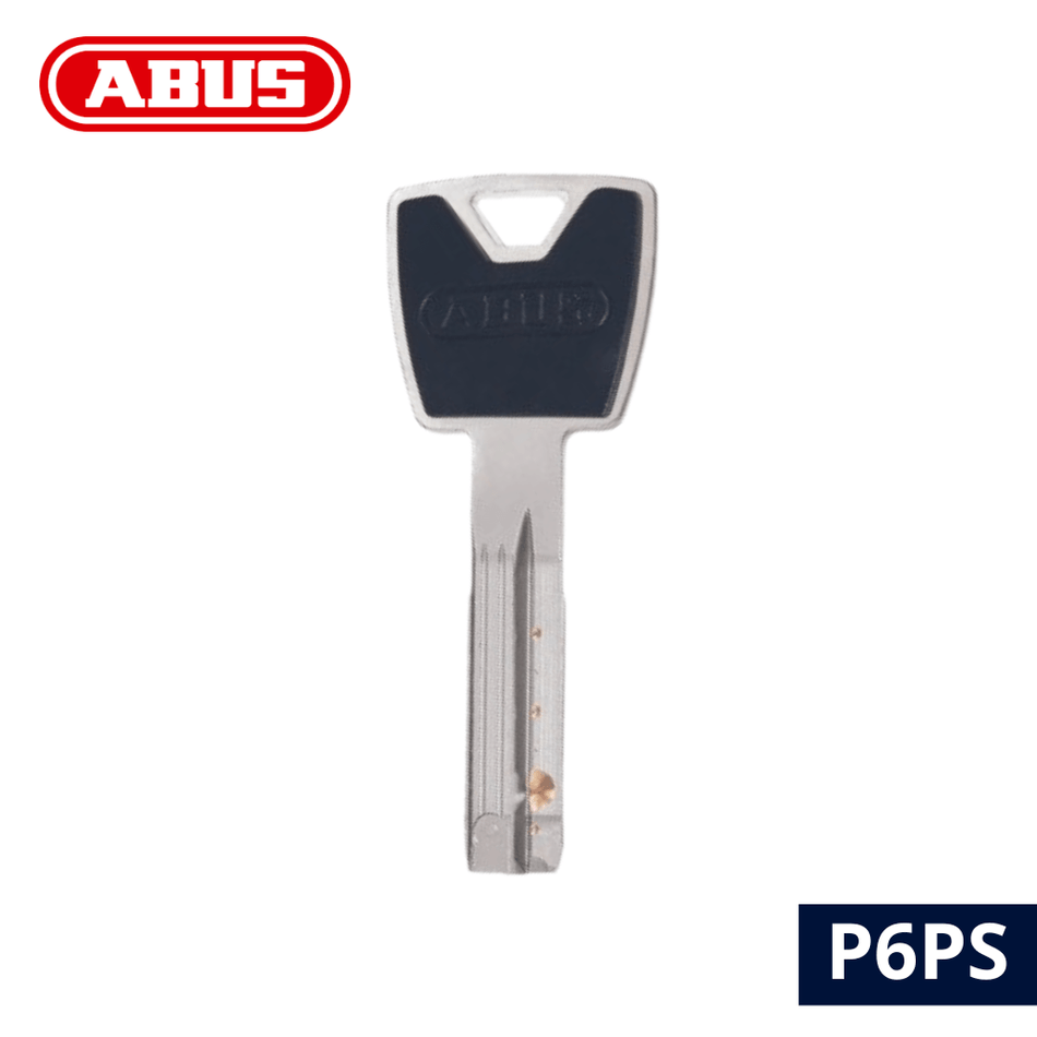 Reproduction cle Abus P6PS picto