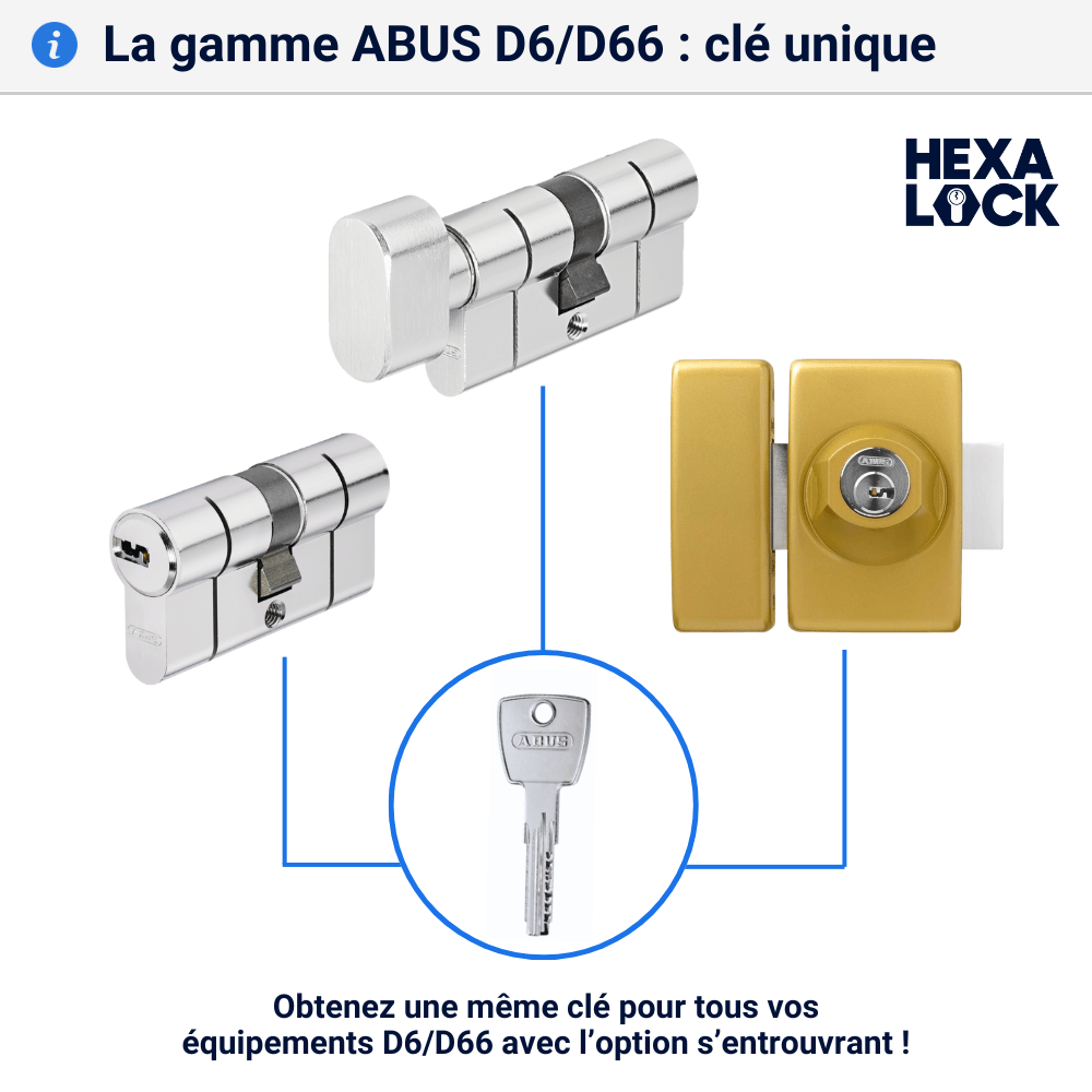 Verrou de porte gamme d6 d66 s entrouvrant